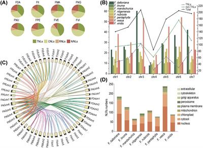 Evolutionary analysis of TIR- and non-TIR-NBS-LRR disease resistance genes in wild strawberries